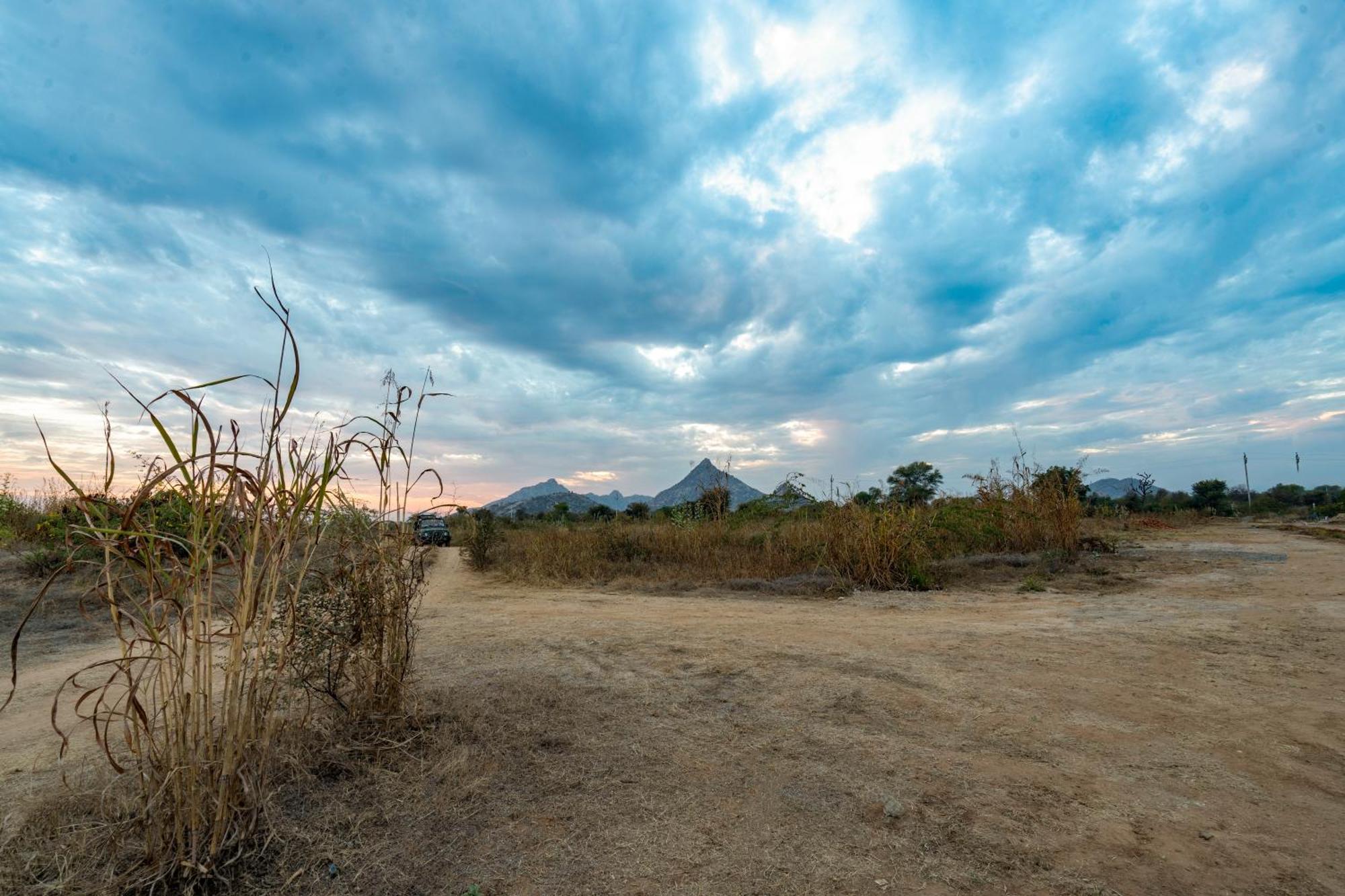 Kurja Jawai Hotel Bisalpur ภายนอก รูปภาพ